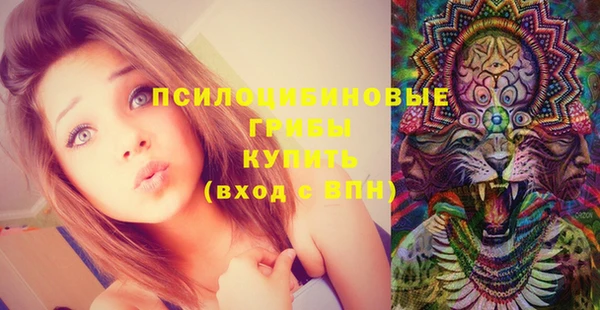 мяу мяу мука Осинники