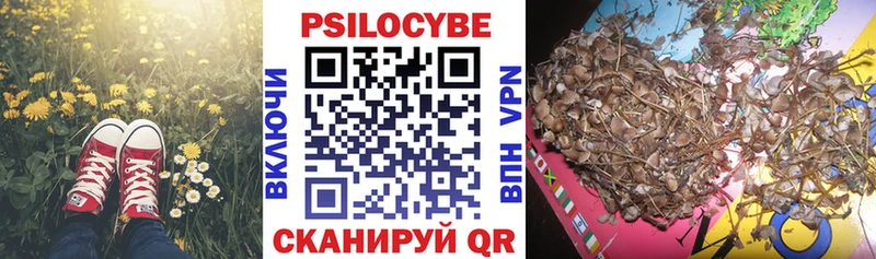 Галлюциногенные грибы MAGIC MUSHROOMS  Биробиджан 