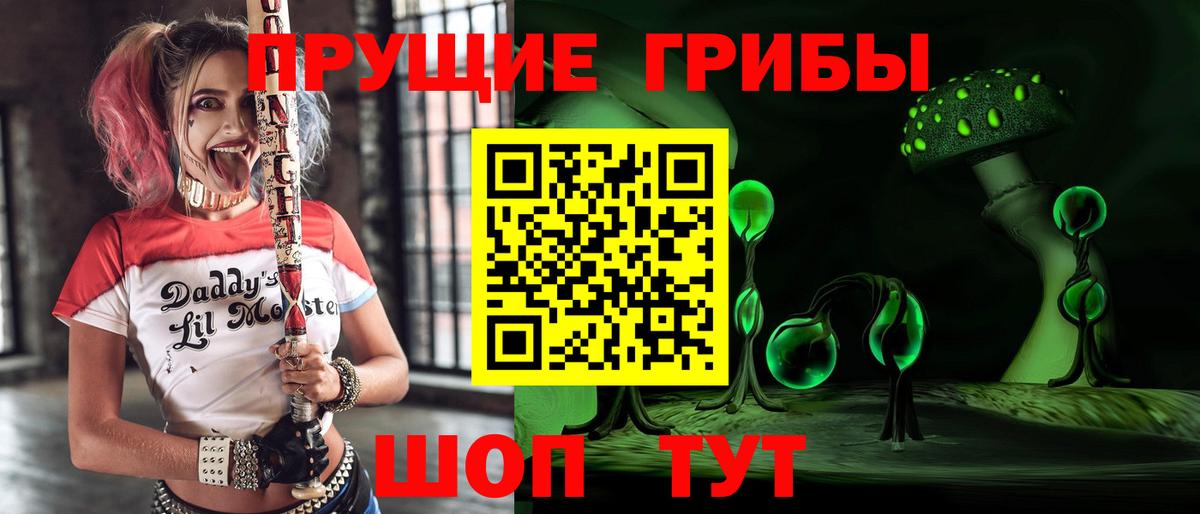 Псилоцибиновые грибы Cubensis  Биробиджан 